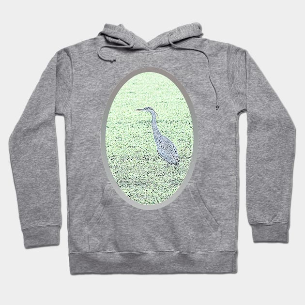 Great Blue Hoodie by kimberlyjtphotoart